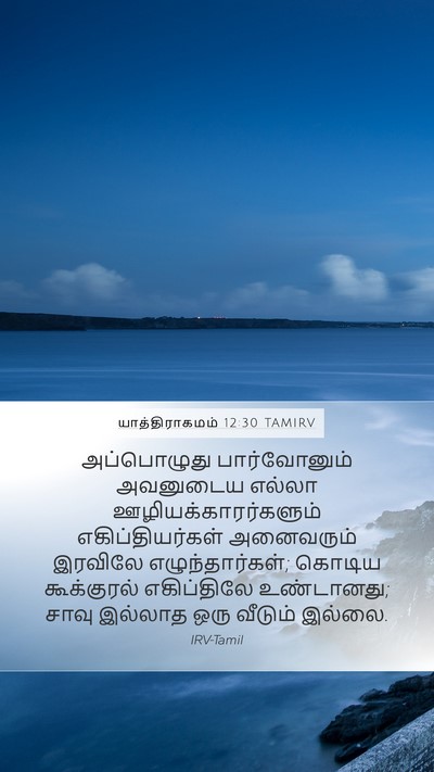யாத்திராகமம் 12:30 TAMIRV Bible Verse Image
