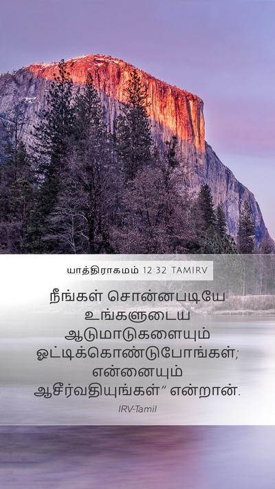 யாத்திராகமம் 12:32 TAMIRV Bible Verse Image