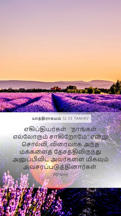 யாத்திராகமம் 12:33 TAMIRV Bible Verse Image