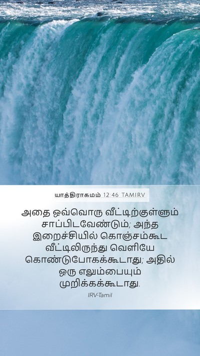 யாத்திராகமம் 12:46 TAMIRV Bible Verse Image