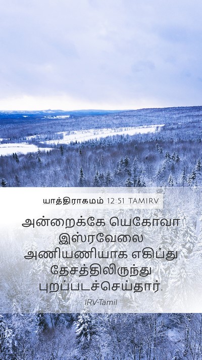 யாத்திராகமம் 12:51 TAMIRV Bible Verse Image