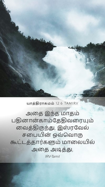 யாத்திராகமம் 12:6 TAMIRV Bible Verse Image