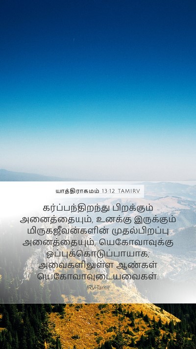 யாத்திராகமம் 13:12 TAMIRV Bible Verse Image