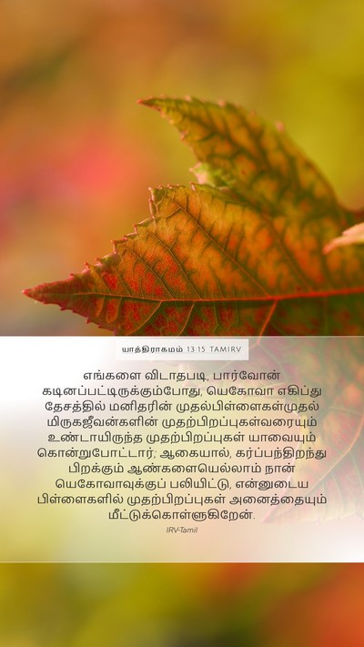 யாத்திராகமம் 13:15 TAMIRV Bible Verse Image