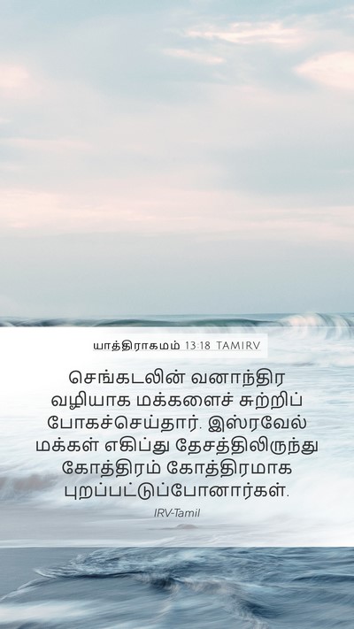யாத்திராகமம் 13:18 TAMIRV Bible Verse Image