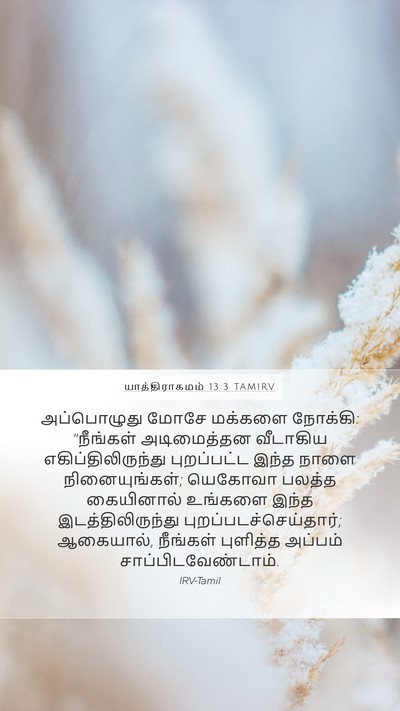 யாத்திராகமம் 13:3 TAMIRV Bible Verse Image