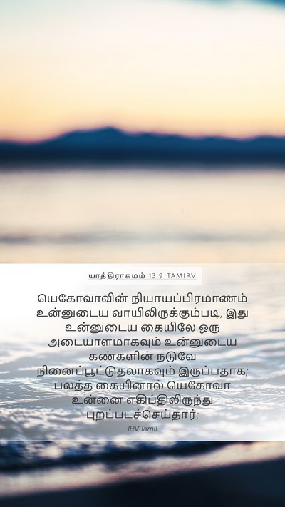 யாத்திராகமம் 13:9 TAMIRV Bible Verse Image