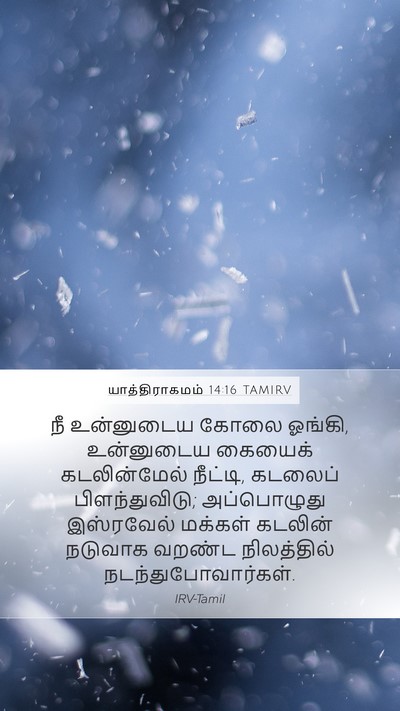 யாத்திராகமம் 14:16 TAMIRV Bible Verse Image