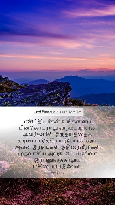 யாத்திராகமம் 14:17 TAMIRV Bible Verse Image