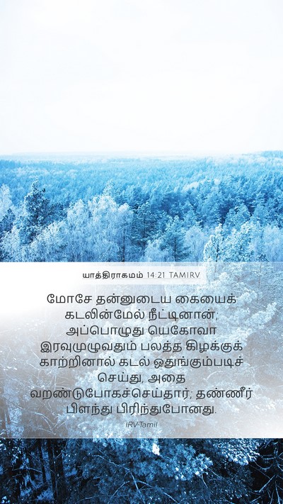 யாத்திராகமம் 14:21 TAMIRV Bible Verse Image
