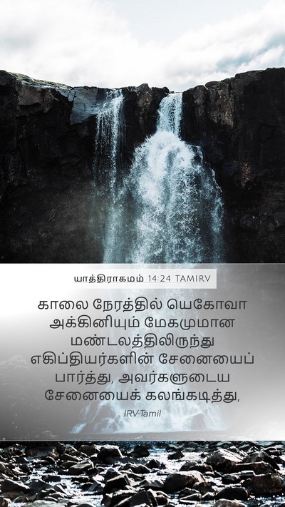 யாத்திராகமம் 14:24 TAMIRV Bible Verse Image