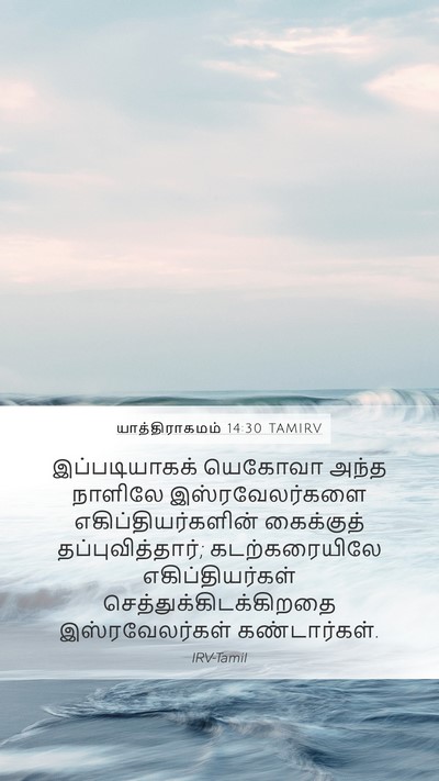 யாத்திராகமம் 14:30 TAMIRV Bible Verse Image