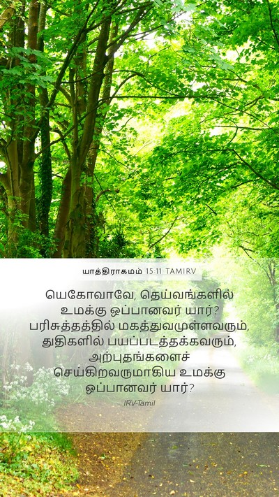 யாத்திராகமம் 15:11 TAMIRV Bible Verse Image