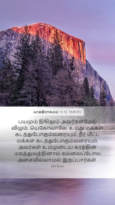 யாத்திராகமம் 15:16 TAMIRV Bible Verse Image