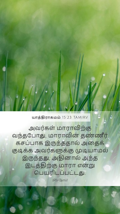 யாத்திராகமம் 15:23 TAMIRV Bible Verse Image