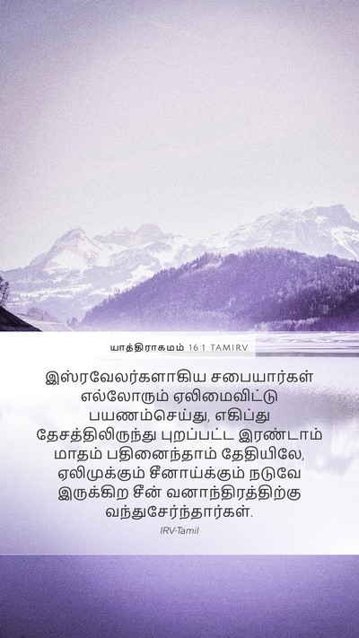 யாத்திராகமம் 16:1 TAMIRV Bible Verse Image