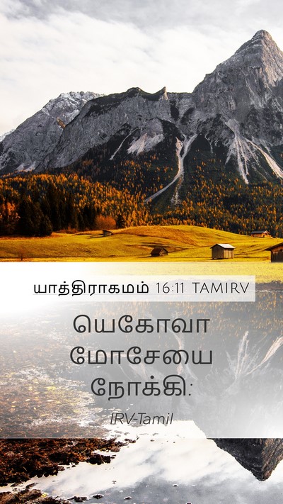 யாத்திராகமம் 16:11 TAMIRV Mobile Phone Wallpaper - யெகோவா மோசேயை - Mobile Bible Verse Wallpaper