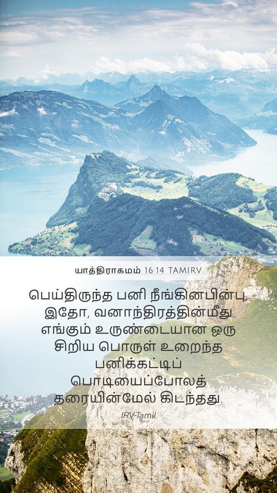 யாத்திராகமம் 16:14 TAMIRV Bible Verse Image