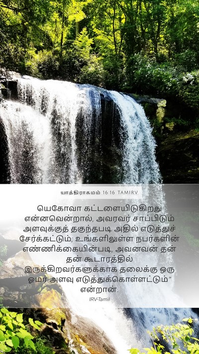 யாத்திராகமம் 16:16 TAMIRV Bible Verse Image