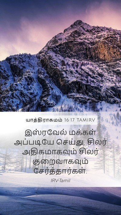 யாத்திராகமம் 16:17 TAMIRV Mobile Phone Wallpaper - இஸ்ரவேல் மக்கள் - Mobile Bible Verse Wallpaper