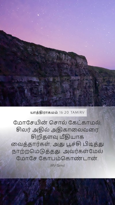 யாத்திராகமம் 16:20 TAMIRV Bible Verse Image