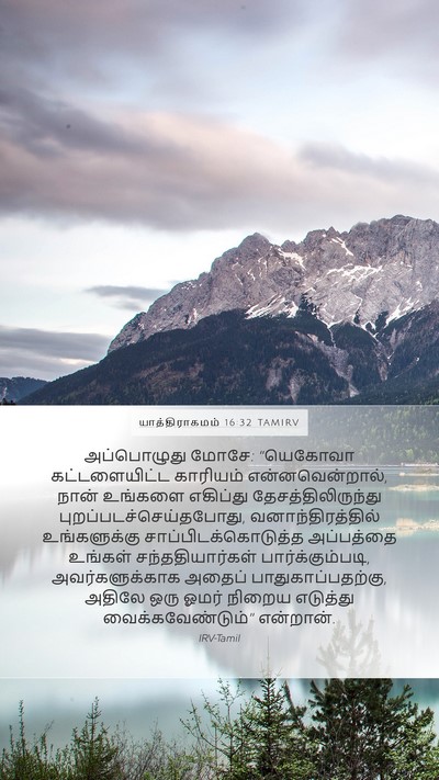யாத்திராகமம் 16:32 TAMIRV Bible Verse Image