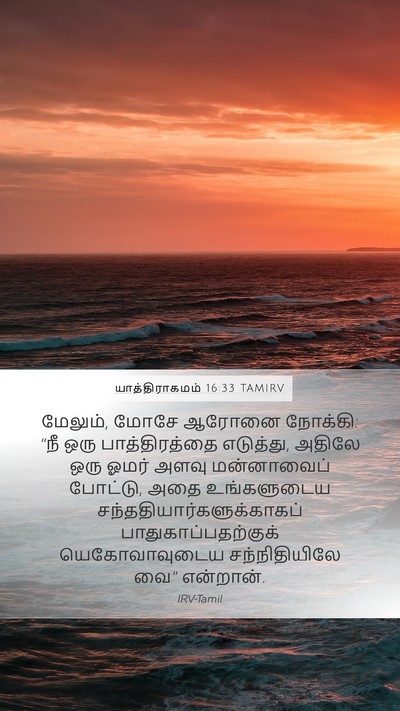 யாத்திராகமம் 16:33 TAMIRV Bible Verse Image