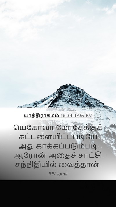 யாத்திராகமம் 16:34 TAMIRV Bible Verse Image