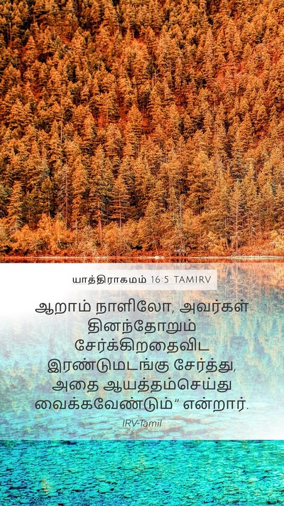 யாத்திராகமம் 16:5 TAMIRV Mobile Phone Wallpaper - ஆறாம் நாளிலோ, - Mobile Bible Verse Wallpaper
