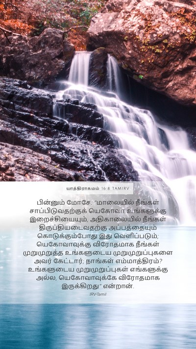 யாத்திராகமம் 16:8 TAMIRV Bible Verse Image