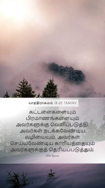 யாத்திராகமம் 18:20 TAMIRV Bible Verse Image