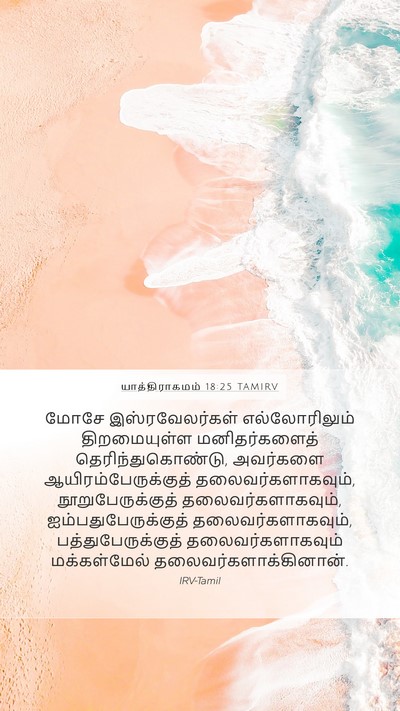 யாத்திராகமம் 18:25 TAMIRV Bible Verse Image