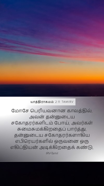 யாத்திராகமம் 2:11 TAMIRV Bible Verse Image