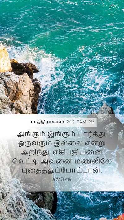 யாத்திராகமம் 2:12 TAMIRV Bible Verse Image