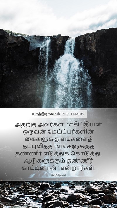 யாத்திராகமம் 2:19 TAMIRV Bible Verse Image
