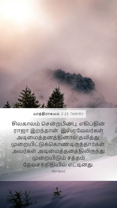 யாத்திராகமம் 2:23 TAMIRV Bible Verse Image