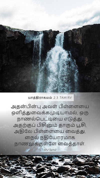 யாத்திராகமம் 2:3 TAMIRV Bible Verse Image