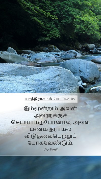 யாத்திராகமம் 21:11 TAMIRV Mobile Phone Wallpaper - இம்மூன்றும் அவன் - Mobile Bible Verse Wallpaper