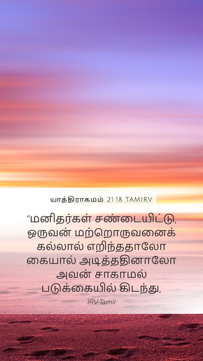 யாத்திராகமம் 21:18 TAMIRV Bible Verse Image