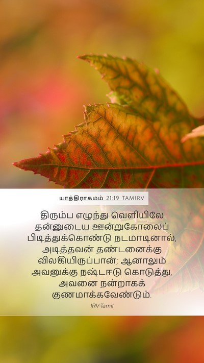 யாத்திராகமம் 21:19 TAMIRV Mobile Phone Wallpaper - திரும்ப எழுந்து - Mobile Bible Verse Wallpaper