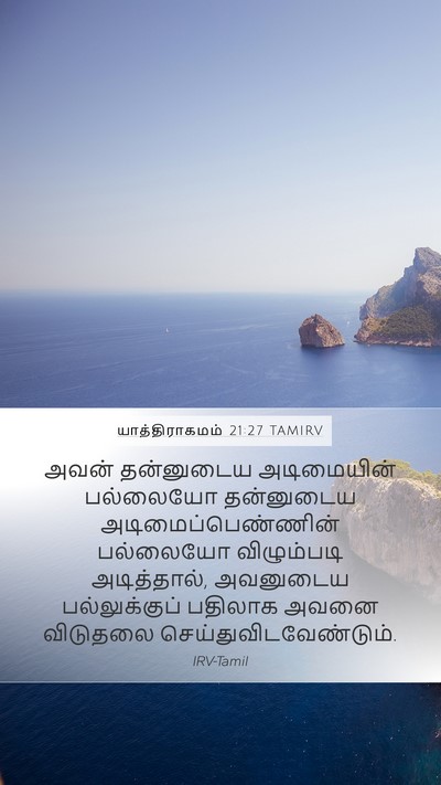 யாத்திராகமம் 21:27 TAMIRV Mobile Phone Wallpaper - அவன் தன்னுடைய - Mobile Bible Verse Wallpaper