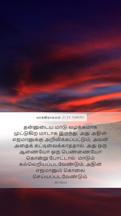 யாத்திராகமம் 21:29 TAMIRV Mobile Phone Wallpaper - தன்னுடைய மாடு - Mobile Bible Verse Wallpaper