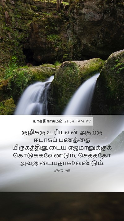 யாத்திராகமம் 21:34 TAMIRV Bible Verse Image