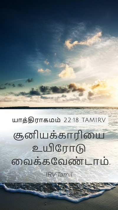 யாத்திராகமம் 22:18 TAMIRV Bible Verse Image