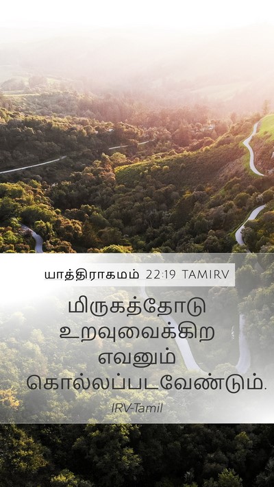 யாத்திராகமம் 22:19 TAMIRV Bible Verse Image