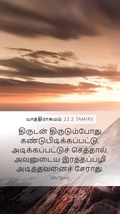 யாத்திராகமம் 22:2 TAMIRV Bible Verse Image
