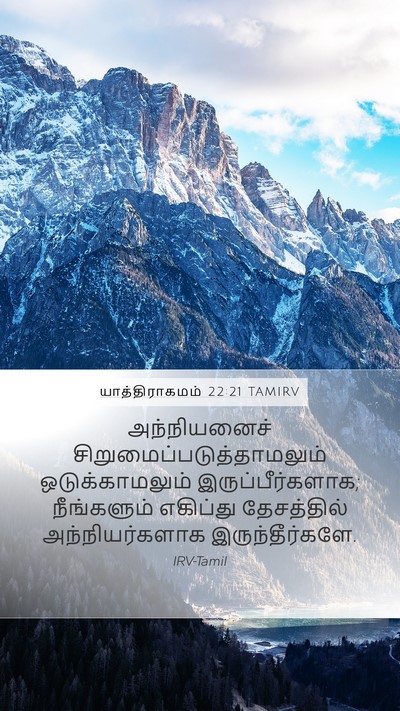 யாத்திராகமம் 22:21 TAMIRV Bible Verse Image
