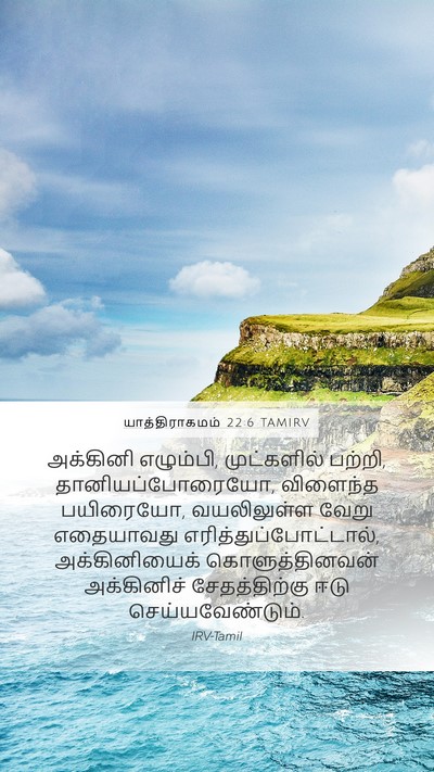 யாத்திராகமம் 22:6 TAMIRV Bible Verse Image