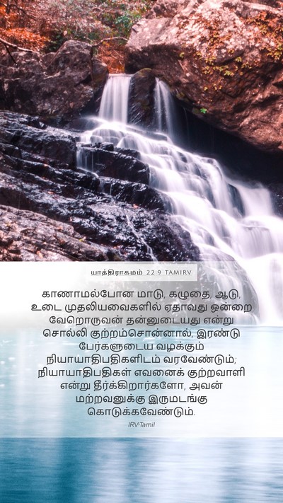 யாத்திராகமம் 22:9 TAMIRV Bible Verse Image