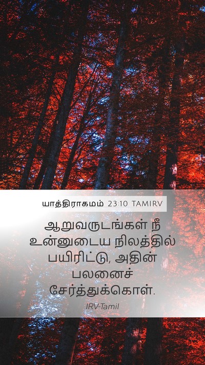 யாத்திராகமம் 23:10 TAMIRV Bible Verse Image